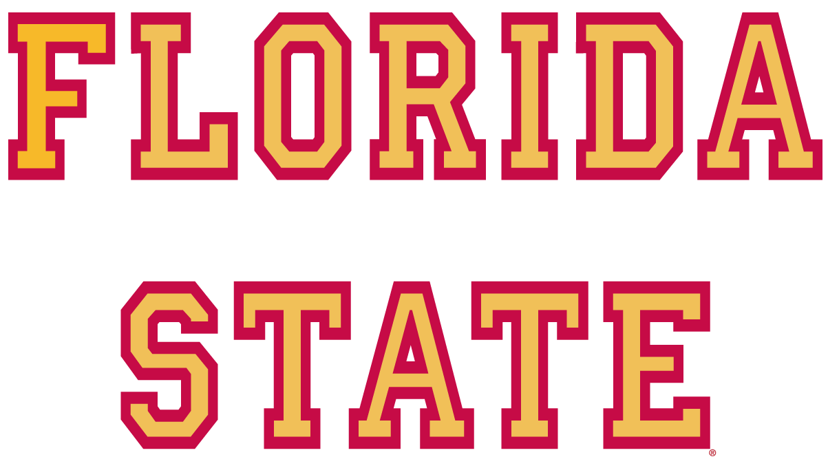 Florida State Seminoles 1976-2013 Wordmark Logo 01 iron on paper